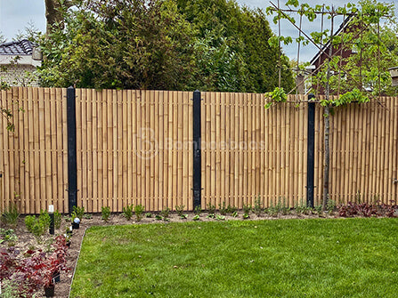 Bambus Sichtschutz im Garten? Groe Auswahl an Bambuszune