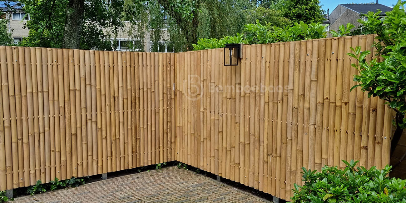 Scheidingswand in de tuin van bamboe schutting Giga